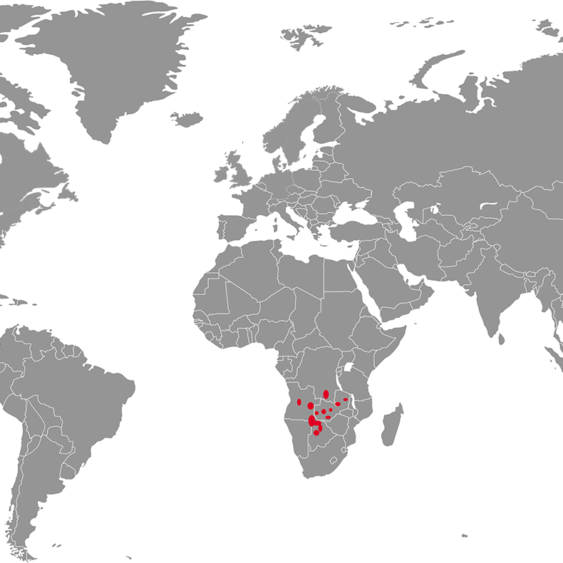 mapa mocvarna antilopa