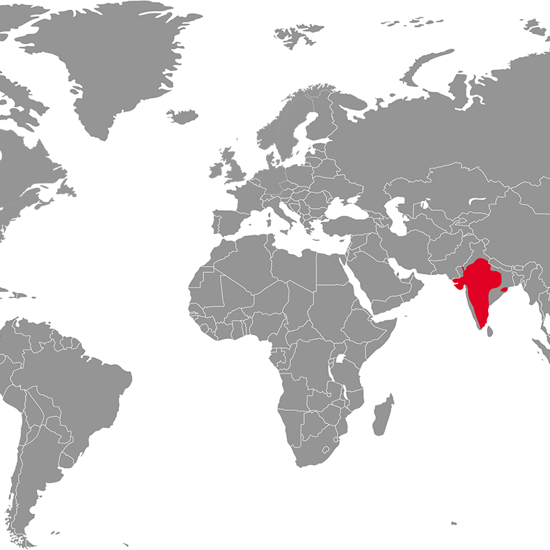 mapa indijska antilopa