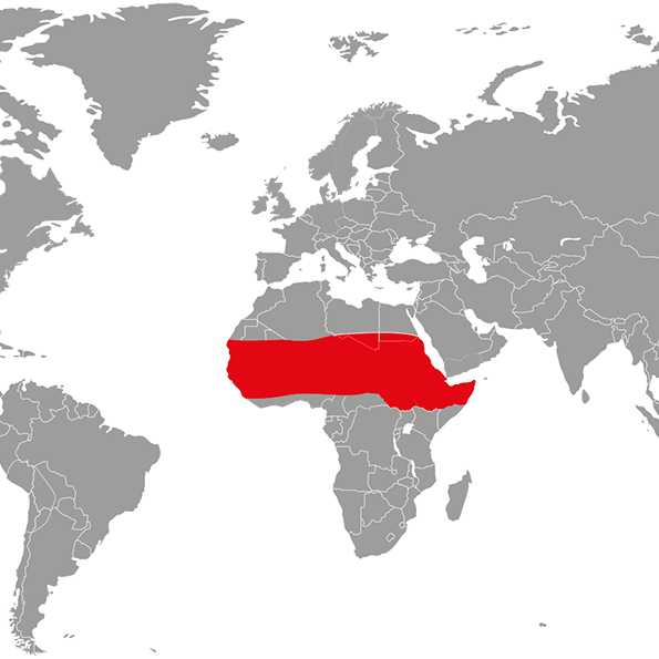 africka-kornjaca-mapa